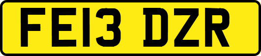 FE13DZR
