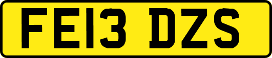 FE13DZS