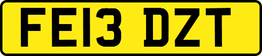 FE13DZT