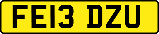 FE13DZU