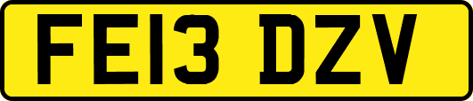 FE13DZV