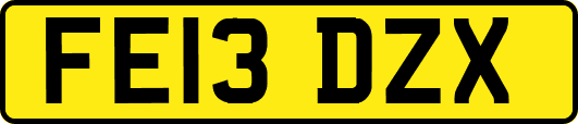 FE13DZX