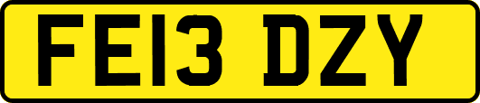 FE13DZY