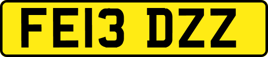FE13DZZ