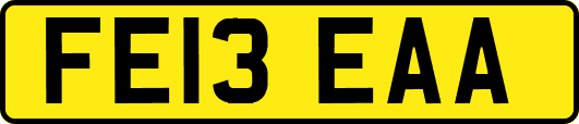 FE13EAA