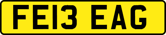 FE13EAG