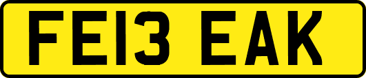 FE13EAK