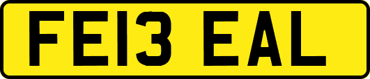 FE13EAL