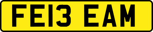 FE13EAM