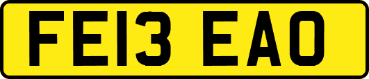 FE13EAO
