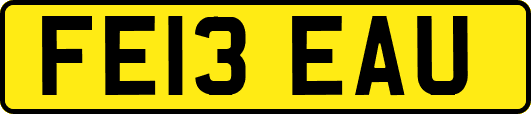FE13EAU