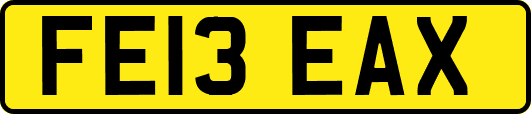 FE13EAX