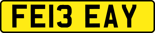 FE13EAY
