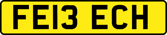 FE13ECH