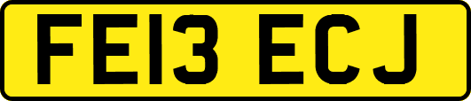FE13ECJ