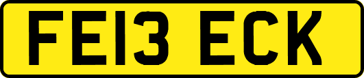 FE13ECK