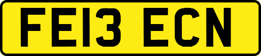 FE13ECN