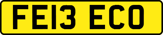 FE13ECO