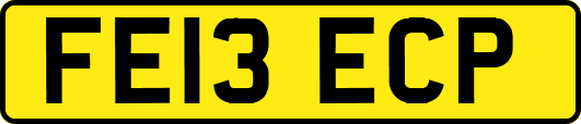 FE13ECP