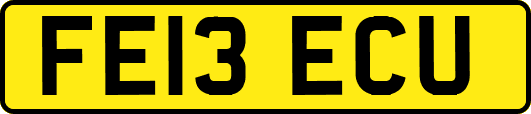 FE13ECU