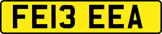 FE13EEA