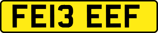 FE13EEF