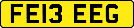 FE13EEG
