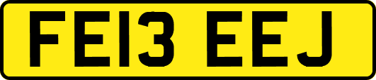 FE13EEJ