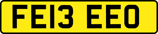 FE13EEO