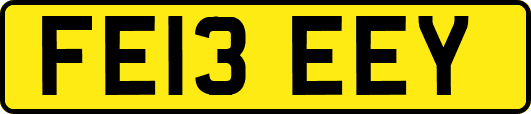 FE13EEY