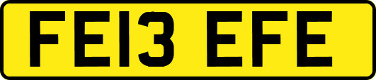 FE13EFE