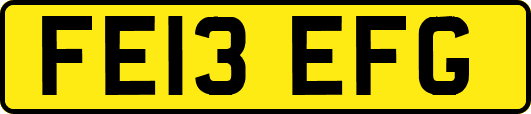 FE13EFG