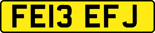 FE13EFJ