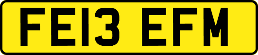 FE13EFM