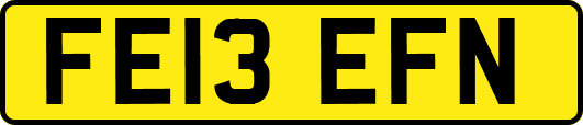 FE13EFN
