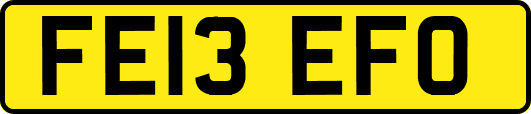 FE13EFO