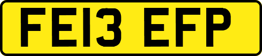 FE13EFP