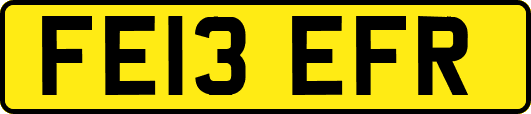 FE13EFR