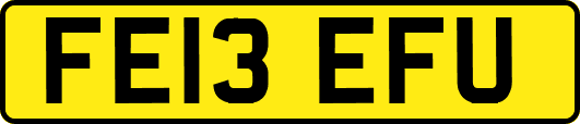 FE13EFU
