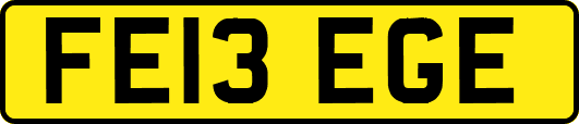 FE13EGE