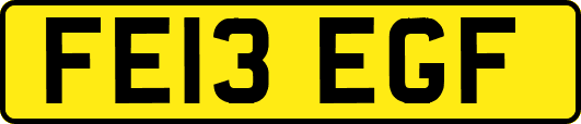 FE13EGF