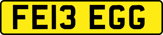 FE13EGG