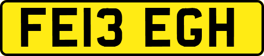 FE13EGH