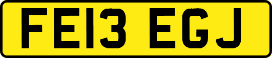 FE13EGJ
