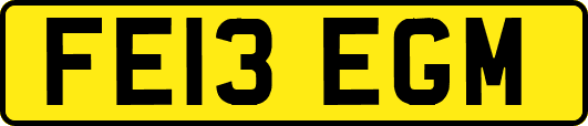 FE13EGM