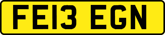 FE13EGN