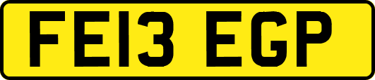 FE13EGP
