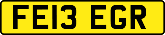 FE13EGR