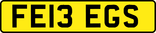 FE13EGS