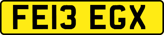 FE13EGX